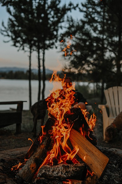 bonfire 7546806 640
